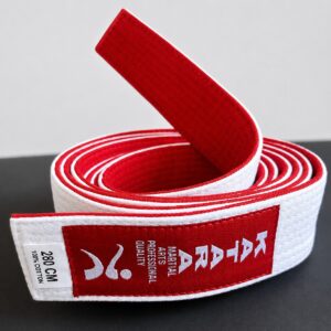 Double Sided Belts